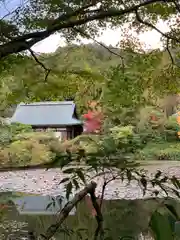 龍安寺(京都府)