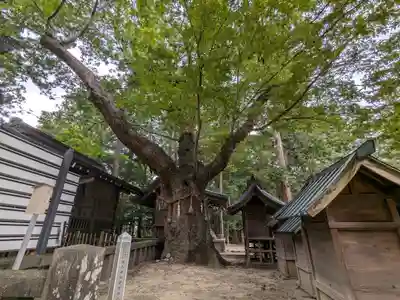 穂高神社本宮(長野県)
