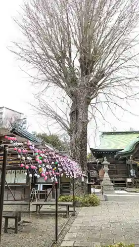 菊田神社の建物その他