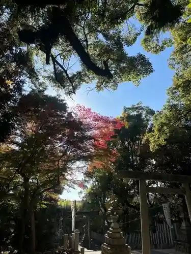 七所神社(愛知県)