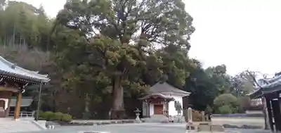 一乗寺のその他建物