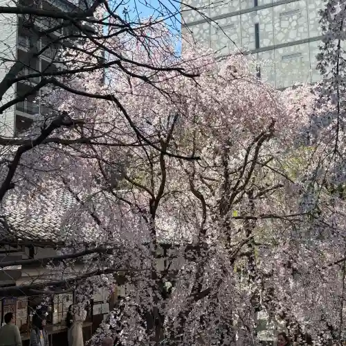 頂法寺（六角堂）の{uncategorized: "未分類", other: "その他", undefined: "問題あり", building: "その他建物", grave: "お墓", sacred_gate: "鳥居", guardian: "狛犬", statue: "像", buddha: "仏像", history: "歴史", nature: "自然", garden: "庭園", animal: "動物", pagoda: "塔", temizu: "手水舎", mountain_gate: "山門・神門", sanctuary: "本殿・本堂", subordinate: "末社・摂社", art: "芸術", scenery: "景色", jizo: "地蔵", ema: "絵馬", goshuin: "御朱印", omikuji: "おみくじ", items: "授与品その他", amulet: "お守り", goshuincho: "御朱印帳", eats: "食事", festival: "お祭り", votive_dance: "神楽", shichigosan: "七五三参", wedding: "結婚式", experience: "体験その他", initially: "初詣", around: "周辺", anti_infection: "感染症対策"}