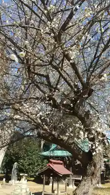 酒門神社(茨城県)