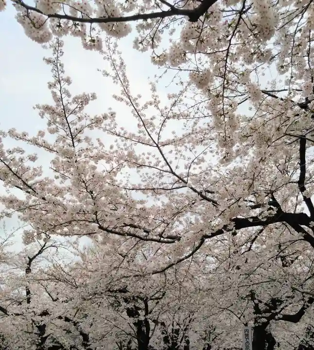 靖國神社(東京都)