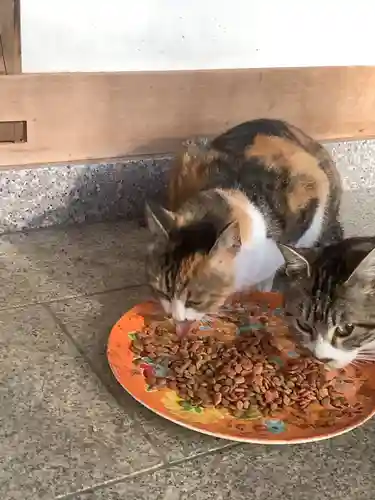 玉野御嶽神社の動物