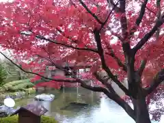 妙法寺(福井県)