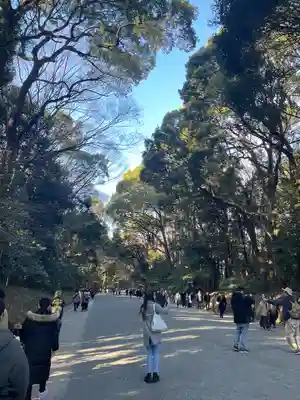 明治神宮(東京都)