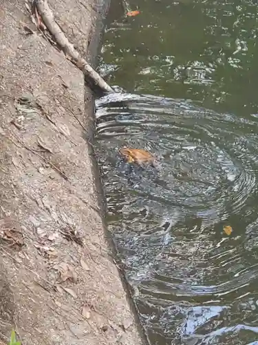 お姫様神社(栃木県)