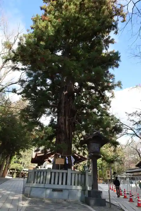 諏訪大社下社秋宮(長野県)