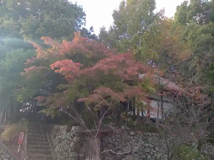 安岡寺(大阪府)