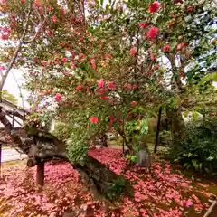 霊鑑寺門跡(京都府)