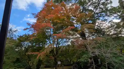 十輪寺(京都府)