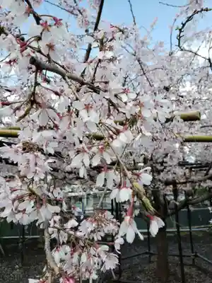 福蔵院(東京都)