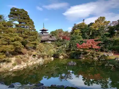 仁和寺の庭園