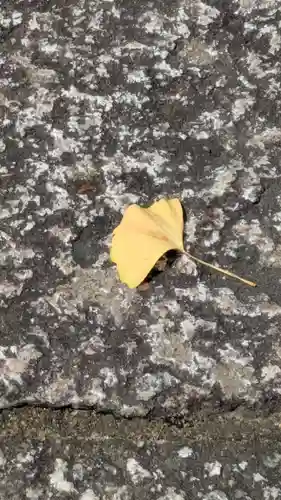 松ヶ崎大黒天 妙圓寺（妙円寺）(京都府)