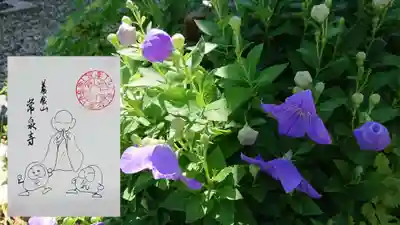 養食山 常泉寺の自然