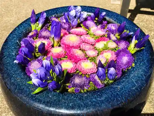 真言宗　善通寺派　薬王寺の手水舎