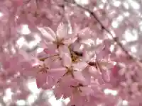 蚊里田八幡宮の{uncategorized: "未分類", other: "その他", undefined: "問題あり", building: "その他建物", grave: "お墓", sacred_gate: "鳥居", guardian: "狛犬", statue: "像", buddha: "仏像", history: "歴史", nature: "自然", garden: "庭園", animal: "動物", pagoda: "塔", temizu: "手水舎", mountain_gate: "山門・神門", sanctuary: "本殿・本堂", subordinate: "末社・摂社", art: "芸術", scenery: "景色", jizo: "地蔵", ema: "絵馬", goshuin: "御朱印", omikuji: "おみくじ", items: "授与品その他", amulet: "お守り", goshuincho: "御朱印帳", eats: "食事", festival: "お祭り", votive_dance: "神楽", shichigosan: "七五三参", wedding: "結婚式", experience: "体験その他", initially: "初詣", around: "周辺", anti_infection: "感染症対策"}