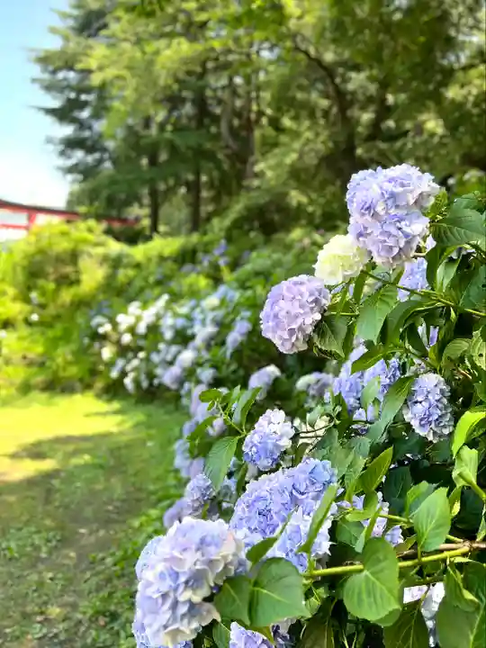 鹿嶋神社(長野県)