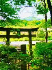 伊保田神社(茨城県)