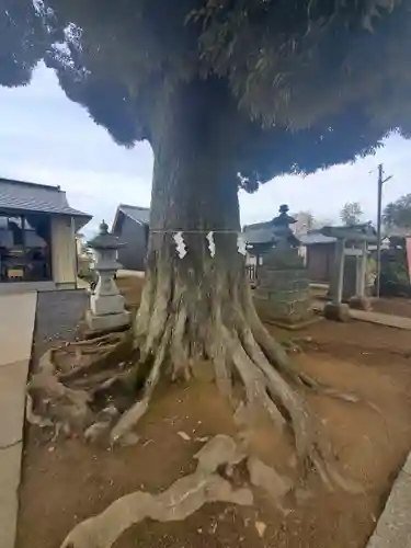 境香取神社の自然