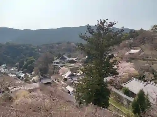 長谷寺(奈良県)