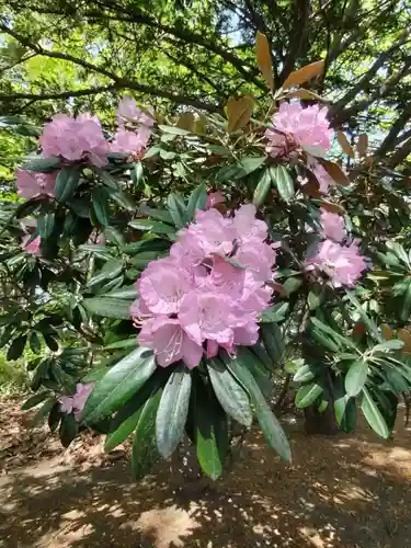 厚別神社(北海道)