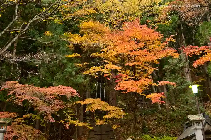 戸隠神社宝光社の自然