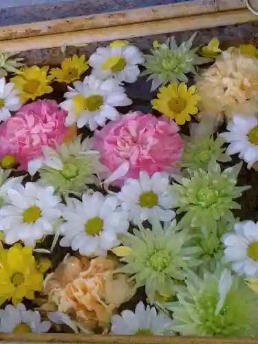 日蓮宗　浄運寺の手水舎