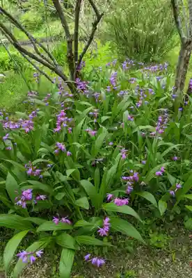 法華寺(奈良県)