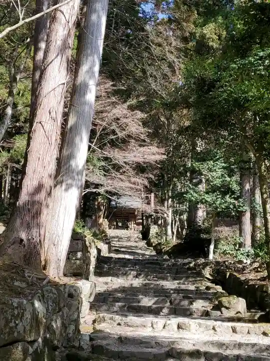 百済寺の{uncategorized: "未分類", other: "その他", undefined: "問題あり", building: "その他建物", grave: "お墓", sacred_gate: "鳥居", guardian: "狛犬", statue: "像", buddha: "仏像", history: "歴史", nature: "自然", garden: "庭園", animal: "動物", pagoda: "塔", temizu: "手水舎", mountain_gate: "山門・神門", sanctuary: "本殿・本堂", subordinate: "末社・摂社", art: "芸術", scenery: "景色", jizo: "地蔵", ema: "絵馬", goshuin: "御朱印", omikuji: "おみくじ", items: "授与品その他", amulet: "お守り", goshuincho: "御朱印帳", eats: "食事", festival: "お祭り", votive_dance: "神楽", shichigosan: "七五三参", wedding: "結婚式", experience: "体験その他", initially: "初詣", around: "周辺", anti_infection: "感染症対策"}
