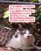 専念寺(大阪府)