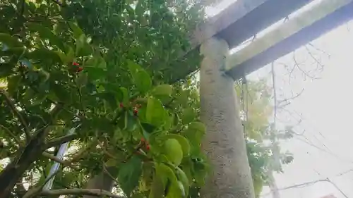 若宮神明社のその他建物