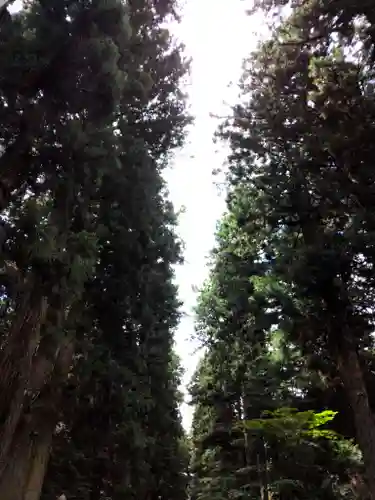 北口本宮冨士浅間神社のその他建物