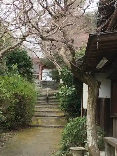 龍泉寺(大阪府)