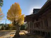 上諏訪神社のその他建物