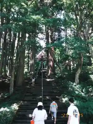戸隠神社宝光社の{uncategorized: "未分類", other: "その他", undefined: "問題あり", building: "その他建物", grave: "お墓", sacred_gate: "鳥居", guardian: "狛犬", statue: "像", buddha: "仏像", history: "歴史", nature: "自然", garden: "庭園", animal: "動物", pagoda: "塔", temizu: "手水舎", mountain_gate: "山門・神門", sanctuary: "本殿・本堂", subordinate: "末社・摂社", art: "芸術", scenery: "景色", jizo: "地蔵", ema: "絵馬", goshuin: "御朱印", omikuji: "おみくじ", items: "授与品その他", amulet: "お守り", goshuincho: "御朱印帳", eats: "食事", festival: "お祭り", votive_dance: "神楽", shichigosan: "七五三参", wedding: "結婚式", experience: "体験その他", initially: "初詣", around: "周辺", anti_infection: "感染症対策"}