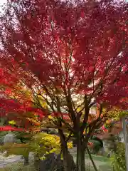 妙榮寺の庭園