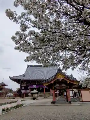 池上本門寺(東京都)