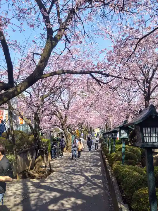 密藏院(埼玉県)