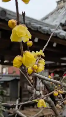 雲林院(京都府)