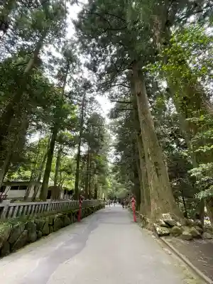箱根神社(神奈川県)