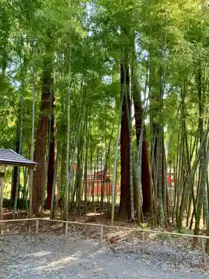 志波彦神社・鹽竈神社(宮城県)