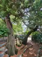 瀬戸神社の自然