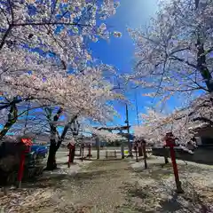 賀茂別雷神社の自然