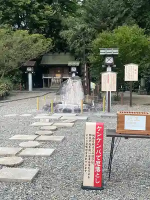 櫻木神社(千葉県)