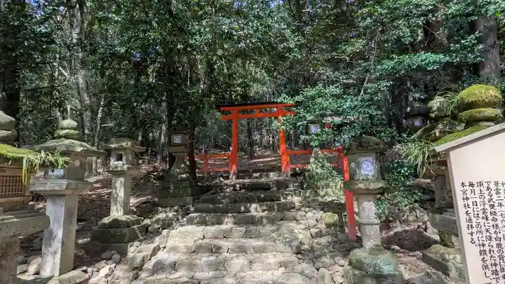 春日大社(奈良県)