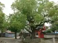 四天王寺庚申堂のその他建物
