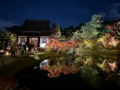 高台寺（高台寿聖禅寺・高臺寺）(京都府)