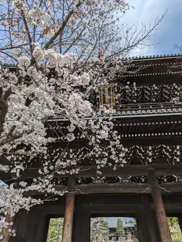 くろ谷 金戒光明寺(京都府)